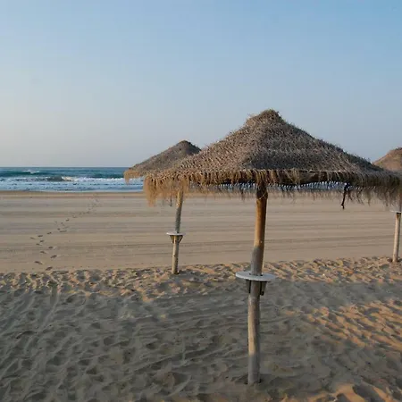 Apartment Hortensia - Primera Linea Playa La Concha *